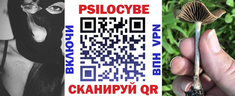 Псилоцибиновые грибы Psilocybine cubensis  купить наркотики цена  Якутск 